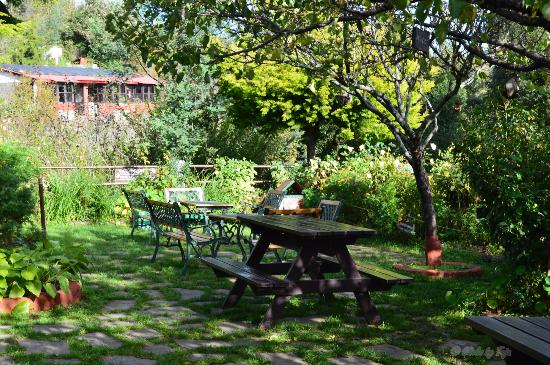 Mountain Trail Resort